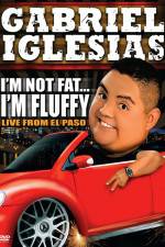 Watch Gabriel Iglesias I'm Not Fat I'm Fluffy Gomovies