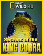 Watch Secrets of the King Cobra Gomovies