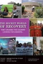 Watch The Secret World of Recovery Gomovies