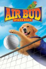 Watch Air Bud: Spikes Back Gomovies