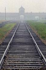 Watch AUSCHWITZ: FACTORIES OF DEATH Gomovies