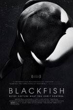 Watch Blackfish Gomovies