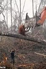 Watch Climate Change: The Facts Gomovies