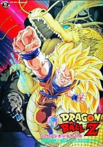 Watch Dragon Ball Z: Wrath of the Dragon Gomovies