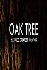 Watch Oak Tree Natures Greatest Survivor Gomovies