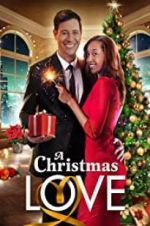 Watch A Christmas Love Gomovies