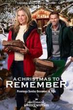 Watch A Christmas to Remember Gomovies