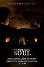 Watch Wandering Soul Gomovies