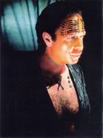 Watch The Age of Insects Gomovies