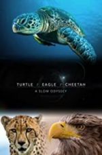 Watch Turtle, Eagle, Cheetah: A Slow Odyssey Gomovies