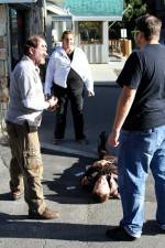 Watch Dead Stop Gomovies