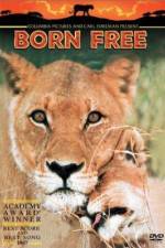Watch Born Free Gomovies