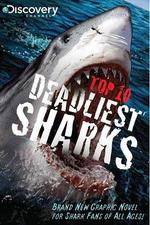 Watch National Geographic Worlds Deadliest Sharks Gomovies