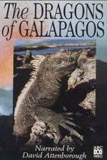 Watch The Dragons of Galapagos Gomovies