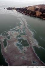 Watch National Geographic: Gulf Coast Disaster Gomovies