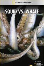 Watch National Geographic Wild - Squid Vs Whale Gomovies