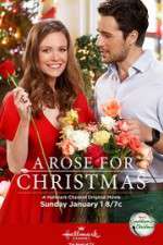 Watch A Rose for Christmas Gomovies