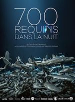Watch 700 requins dans la nuit Gomovies