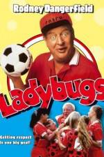 Watch Ladybugs Gomovies