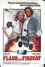 Watch Flash and the Firecat Gomovies