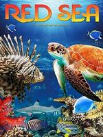 Watch Red Sea 4K Gomovies