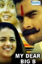 Watch Big B Gomovies