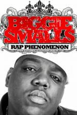 Watch Biggie Smalls Rap Phenomenon Gomovies