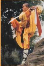 Watch National Geographic Kung Fu Secrets Gomovies