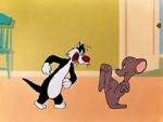 Watch Who\'s Kitten Who? (Short 1952) Gomovies