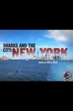Watch Sharks and the City: New York Gomovies