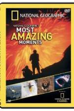 Watch National Geographic's Most Amazing Moments Gomovies