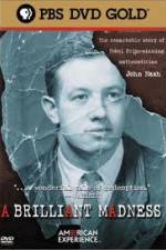 Watch A Brilliant Madness Gomovies