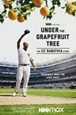 Watch Under the Grapefruit Tree: The CC Sabathia Story Gomovies
