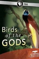 Watch Birds Of The Gods Gomovies