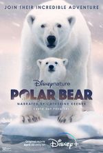 Watch Polar Bear Gomovies