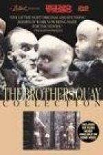 Watch The Comb Gomovies