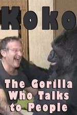 Watch Koko: The Gorilla Who Talks to People Gomovies