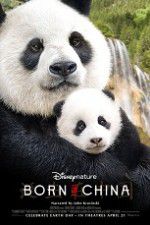Watch Born in China Gomovies