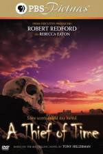 Watch A Thief of Time Gomovies