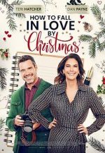 Watch How to Fall in Love by Christmas Gomovies