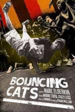 Watch Bouncing Cats Gomovies