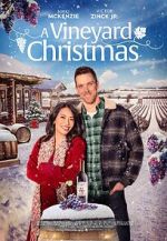 Watch A Vineyard Christmas Gomovies