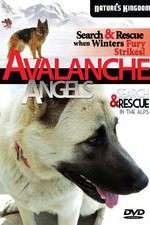 Watch Avalanche Angels Gomovies