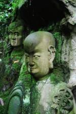 Watch The Thousand Years Old Man Gomovies