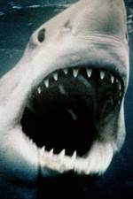 Watch Sharkmania: The Top 15 Biggest Baddest Bloodiest Bites Gomovies