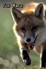 Watch Fox Wars Gomovies