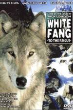 Watch Zanna bianca alla riscossa Gomovies