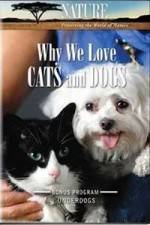 Watch Why We Love Cats And Dogs Gomovies