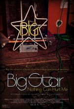 Watch Big Star: Nothing Can Hurt Me Gomovies