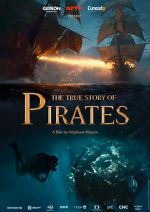 Watch The True Story of Pirates Gomovies
